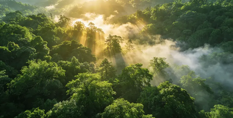 玉溪肺癌12基因ctDNA突变检测(血液）图片1